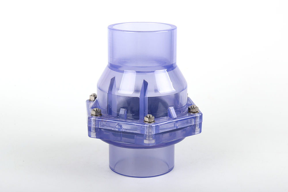 桑植透明翻板式止回阀